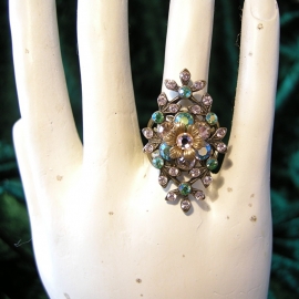 ring Michal Negrin