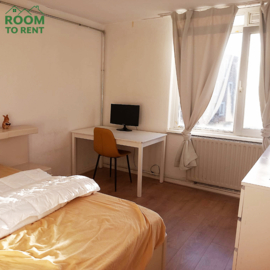 Chambre meublée : Schrijnwerkersgaarde, LA HAYE / LA HAYE, Pays-Bas