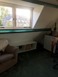 Your Cosy Haven in Delft: Furnished Room on Goeman Borgesiusstraat, Agnetaparkbuurt, The Netherlands