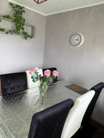 Your Ideal Haven in Haarlem: Furnished Room on Bulgariapad