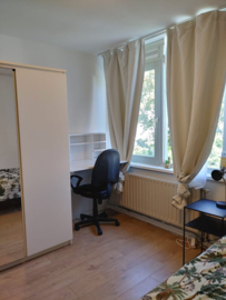 Stylish Furnished Room in Schrijnwerkersgaarde, The Hague