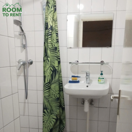 Chambre meublée : Schrijnwerkersgaarde, LA HAYE / LA HAYE, Pays-Bas
