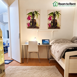 Furnished Room for Rent in The Hague | Bergermeerstraat – Utilities Included
