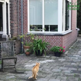 ​Chambre meublée Goeman Borgesiusstraat, DELFT, Agnetaparkbuurt, Pays-Bas