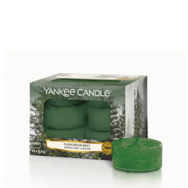 Yankee Candle Tea Light Candles Evergreen Mist