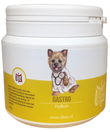 Gastro Psyllium 100g