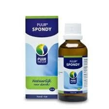 Puur spomdy