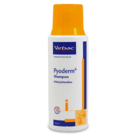 Pyoderm shampoo