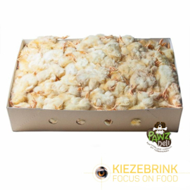 Eendagshaantjes 1 kg (+-25st)