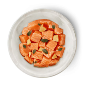 Terra felis zalm 80gr