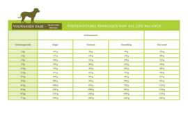 Energique raw veterinary diets All life balance 12x450gr