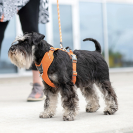 DOG Copenhagen Comfort Walk Pro Harnas Groen