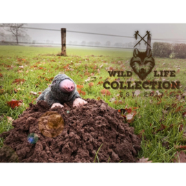 Wildlife collection mol