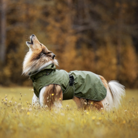 RukkaPets Streamy ECO Regenjas Groen