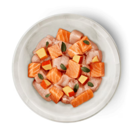 Terra felis zalm-kip 80gr
