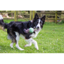 Becopets ball with rope LARGE (groen, blauw of roze)