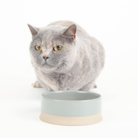 Scruffs Scandi Non Tip Pet Bowl