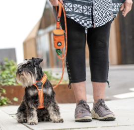 DOG Copenhagen Comfort Walk Air Harnas Groen