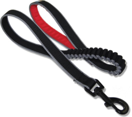 Kurgo Springback Leash