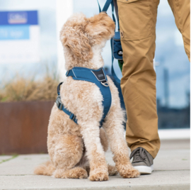 DOG Copenhagen Comfort Walk Pro Harnas Groen
