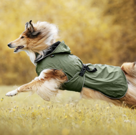 RukkaPets Streamy ECO Regenjas Groen