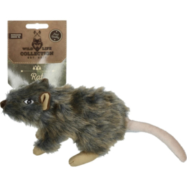 wildlife collection rat
