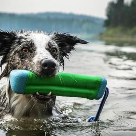 Chuckit Amphibious Bumper