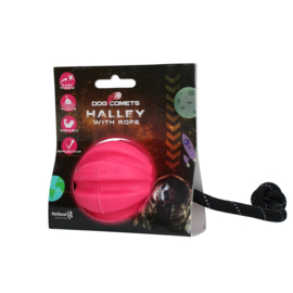 dog comets komeet bal met touw