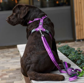 DOG Copenhagen Comfort Walk Air Harnas Groen