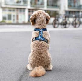 DOG Copenhagen Comfort Walk Air Harnas Groen