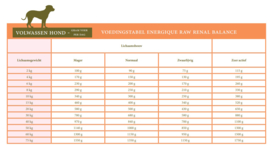 Energique raw veterinary diets renal balance 12x450gr