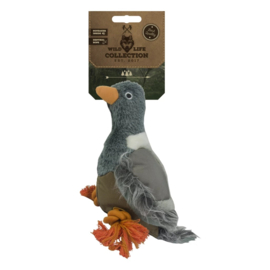 wildlife collection duif