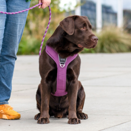 Dog Copenhagen Comfort Walk Pro Harnas Lemon