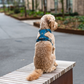Dog Copenhagen Comfort Walk Pro Harnas Lemon