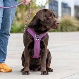 DOG Copenhagen Comfort Walk Pro Harnas Groen