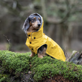 RukkaPets Streamy ECO Regenjas Geel