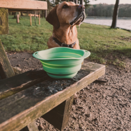 Becopets Travel Bowl Large