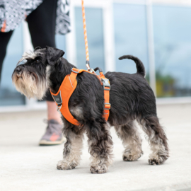 Dog Copenhagen Comfort Walk Pro Harnas Lemon