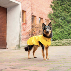 RukkaPets Streamy ECO Regenjas Geel