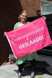 Fuchsia ONDERWIJSASSISTENT. Geslaagd Vlag Krijt