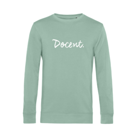 Pastel mint DOCENT. Heren Sweater Krijt