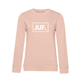 Pastel roze JUF. Sweater Klas