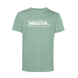 Pastel mint MEESTER. Shirt Klas