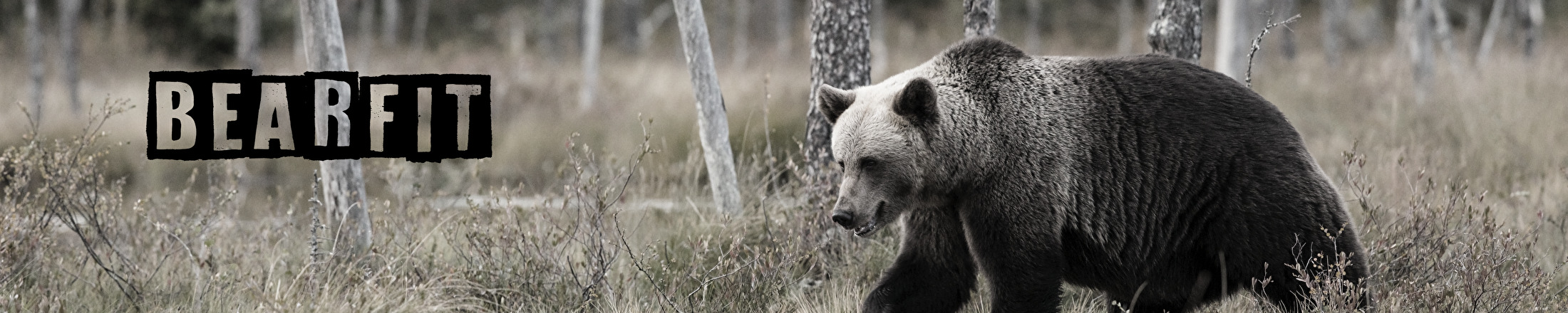 Header BearFit