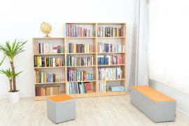 Expo boekenkast met 3 planken - esdoorn