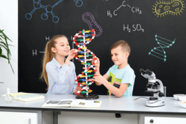 DNA-model