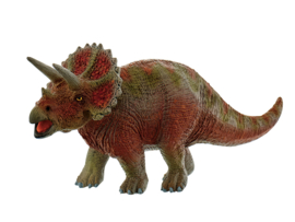 Dino triceratops