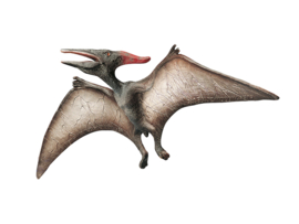 Dino pterosauriër