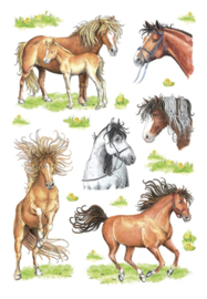 Etiket Herma getekende paarden