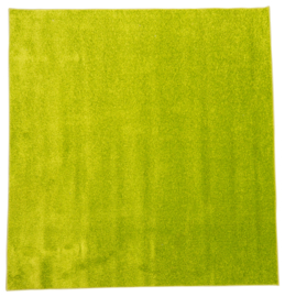 Tapijt 200x200cm - Groen
